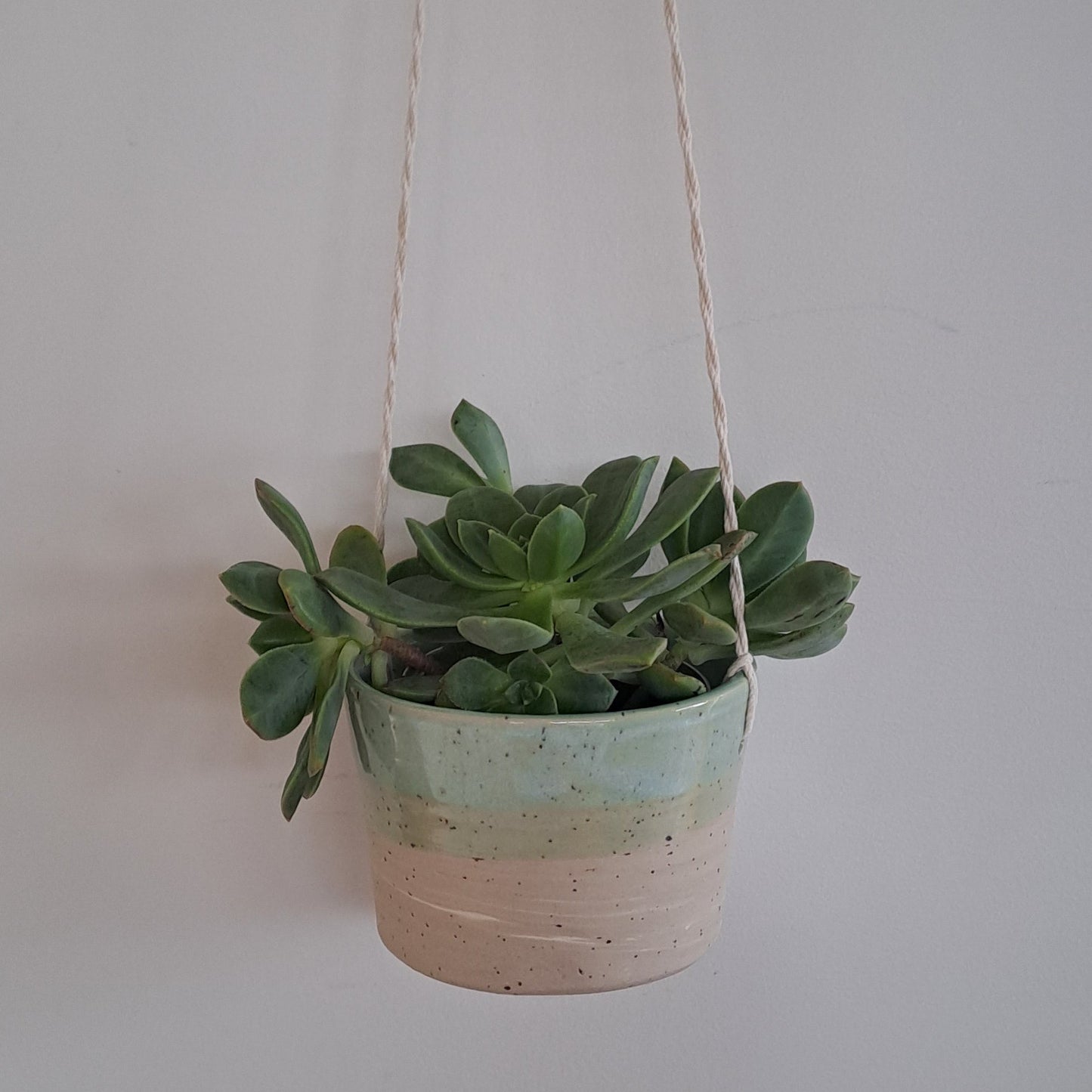 Ceramic speckled planter with blue green glaze and small potted plant