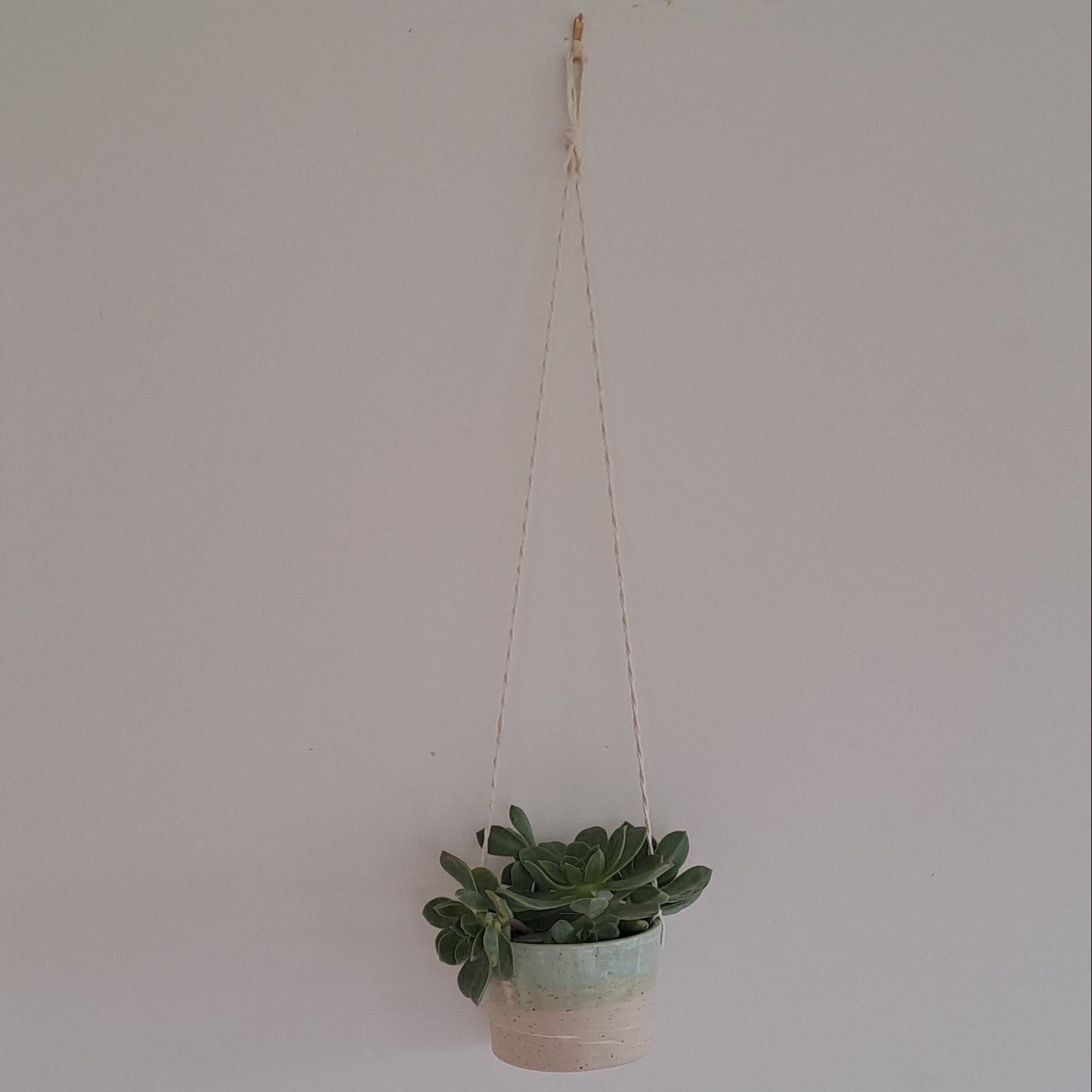Ceramic speckled planter with blue green glaze and small potted plant