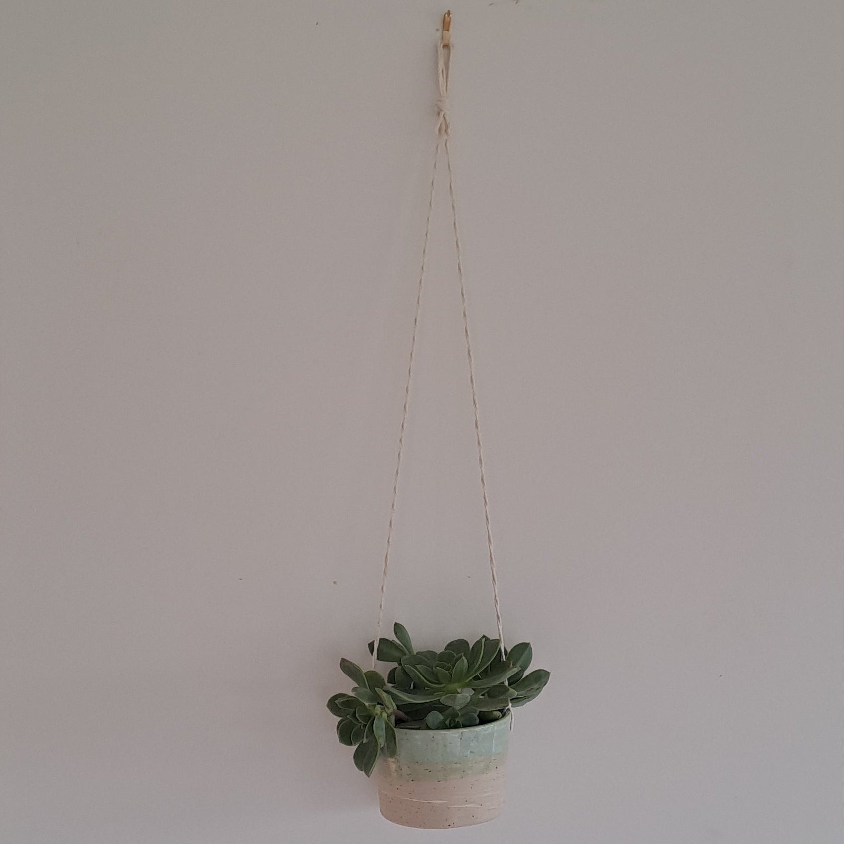 Ceramic speckled planter with blue green glaze and small potted plant