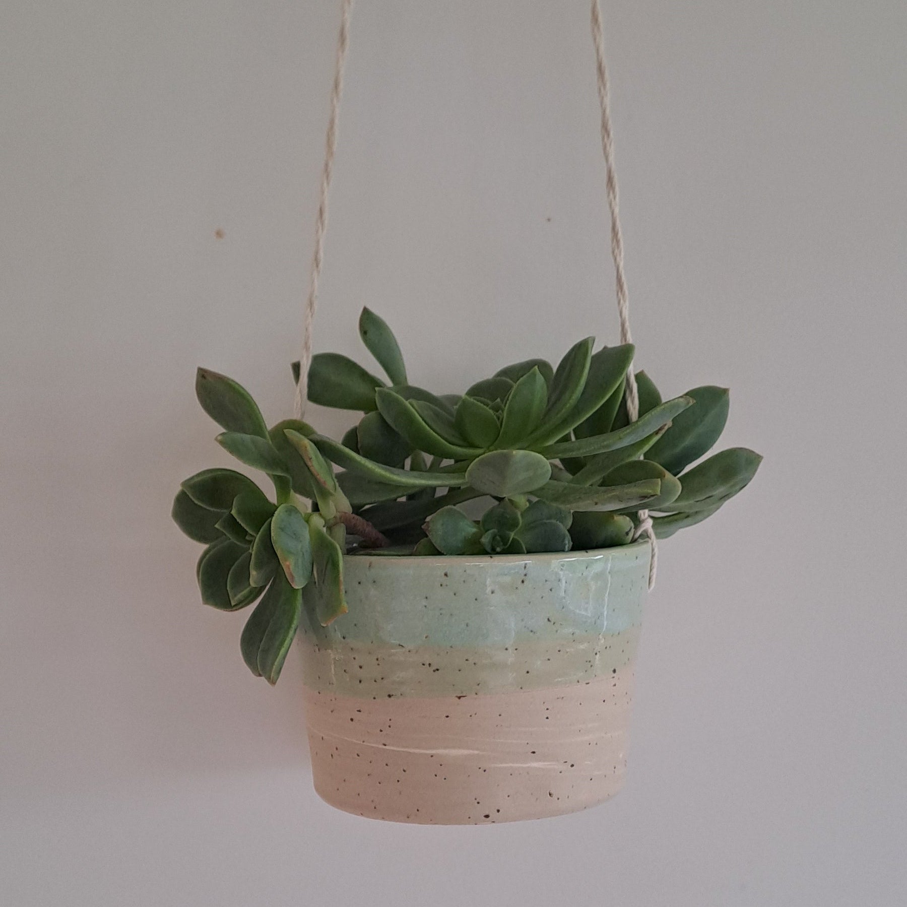 Ceramic speckled planter with blue green glaze and small potted plant