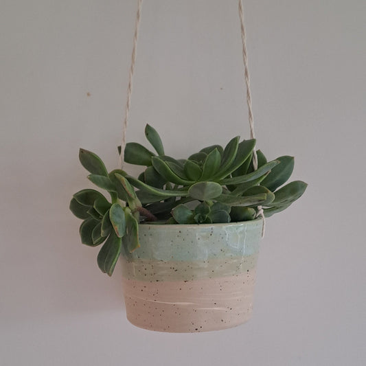 Ceramic speckled planter with blue green glaze and small potted plant