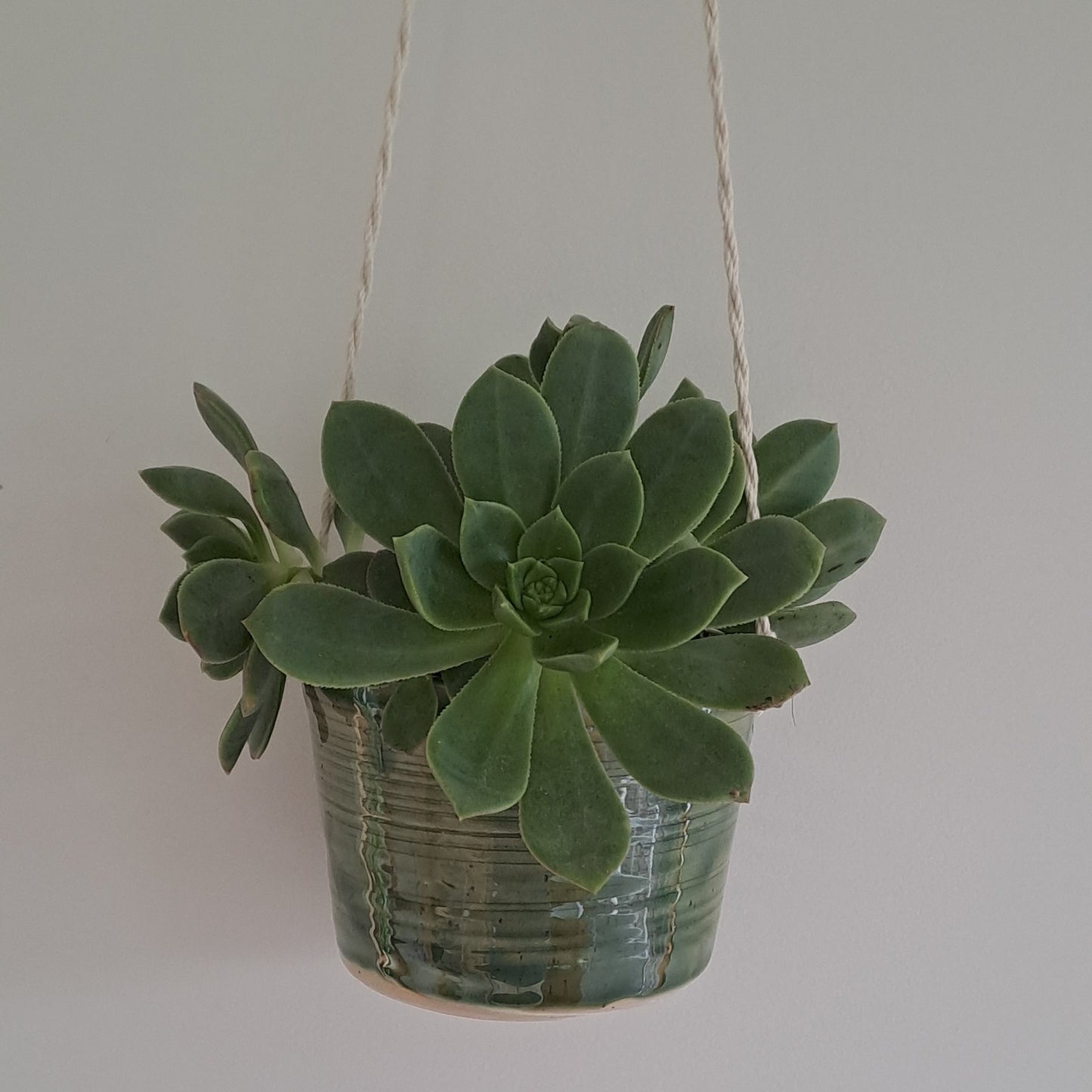 Small speckled stoneware ceramic planter with jade glaze