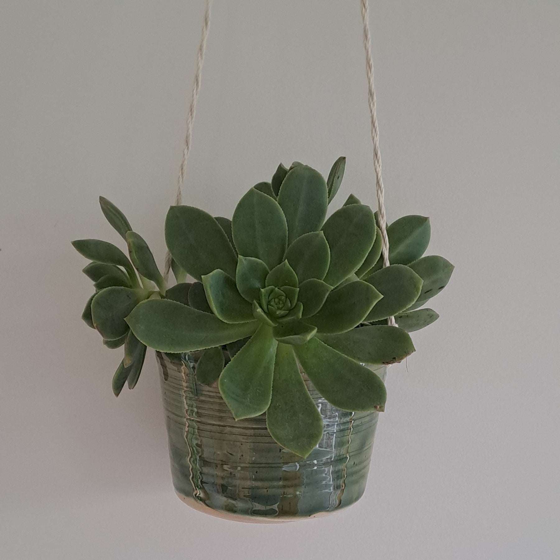 Small speckled stoneware ceramic planter with jade glaze